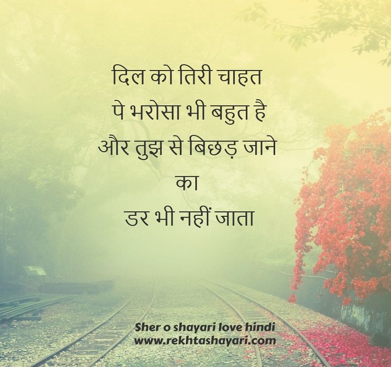 shero_shayari_love_hindi_2