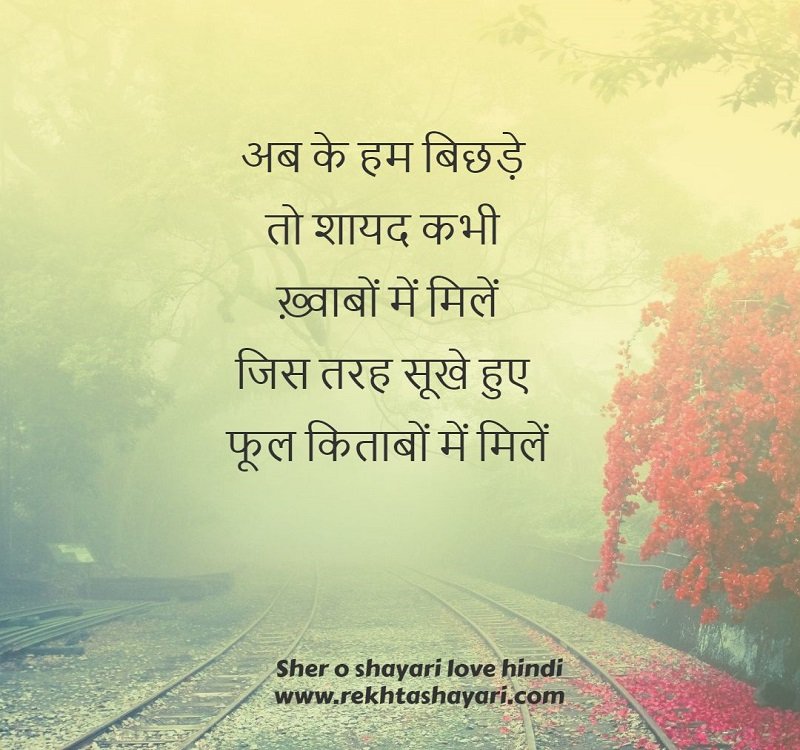 shero_shayari_love_hindi_3